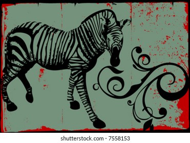 vector zebra