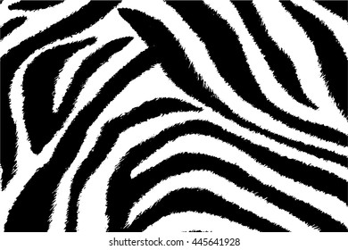 Vector of zebra background, black and white stripes
