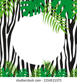 Vector Zebra background. Tropical leaves on the zebra pattern. Palm leaf. Monstera leaf. Fashionable print. Safari pattern. Card in tropical, summer style. White space for text. 
