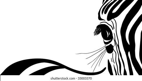 vector - zebra banner for yor text