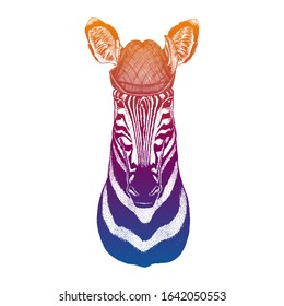 Vector zebra. Bavarian traditional hat. Tirol austrian hat. Beer oktoberfest animal portrait.
