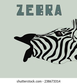 Vector zebra (Can be used as texture for cards, invitations, DIY projects, web sites or for any other design) 