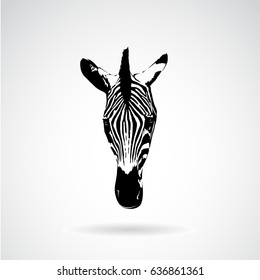 Vector of an zebra face on white background. Wild Animals.