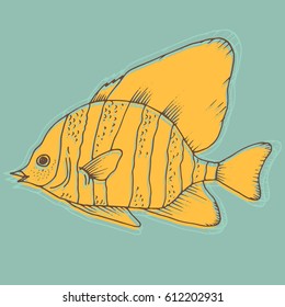 Vector zebra fish, coral fish hand drawn abstract illustration. Sketch with striped boarfish, marine animal