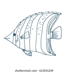 Vector zebra fish, coral fish hand drawn illustration. Sketch with western talma fish, marine animal. Illustration in outline on white
