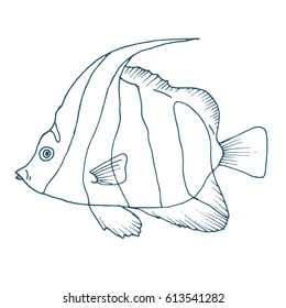 Vector zebra fish, coral fish hand drawn illustration. Sketch with masked bannerfish, marine animal. Illustration in outline on white