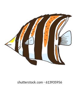 Vector zebra fish, coral fish hand drawn illustration. Sketch with western talma fish, marine animal. Illustration in outline on white