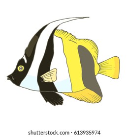 Vector zebra fish, coral fish hand drawn illustration. Sketch with masked bannerfish, marine animal. Illustration in outline on white