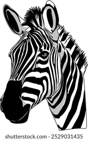 vector zebra head with black and white stripes on its body