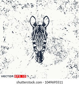 Vector zebra head, face  on grunge background