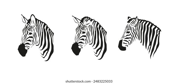 Vector Zebra head illustration. Collection of African zebras in black and white color. Striped wild animal isolated on white
