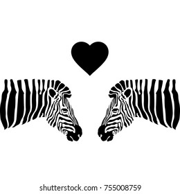 Vector of an Zebra head on a white background. Wild Animals.