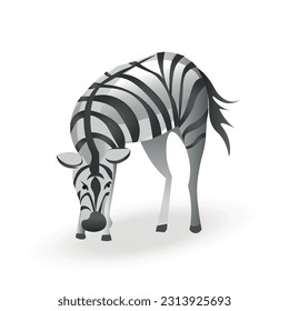 Vector zebra isolated on white background. Minimal realistic animal illustration. Front view zebra. 