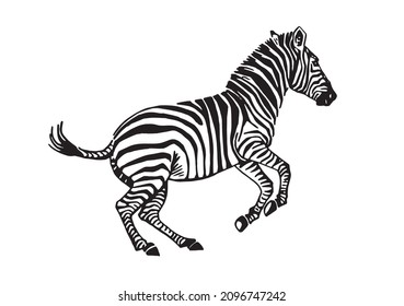 Vector zebra jumping, graphical illustration, savanna African animal