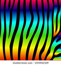 Vector zebra pattern with rainbow stripes on a black background