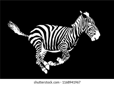 Vector  zebra running isolated on black background,graphical sketch
