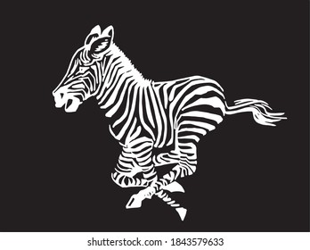 Vector zebra running isolated on black background, illustration for logo and design