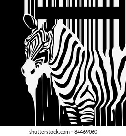 Zebra Against Background Black White Stripes Stock Photo 207465979 ...