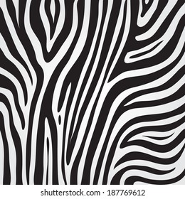 vector zebra skin texture