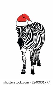 Vector zebra standing in red Santa Claus hat on white isolated, Christmas illustration