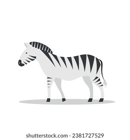 Vector zebra. Standing. Side view. Flat illustration. Suitable for animation, using in web, apps, books, education projects. No transparency, solid colors only. 