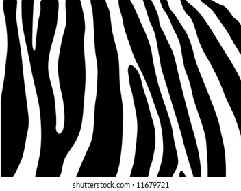 vector - textura cebra negro y blanco