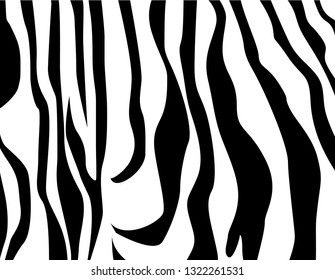 Vector zebra texture Black and White