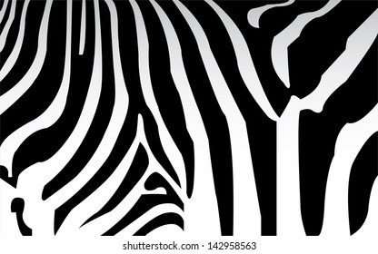 vector - zebra texture Black and White