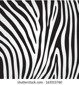 vector zebra texture, black and white animal background