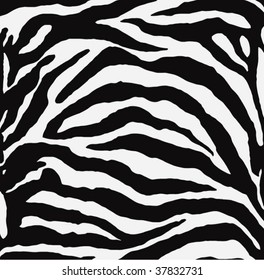 vector - zebra texture Black and White