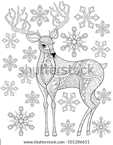 640 Top Coloring Pages Christmas Reindeer  Images