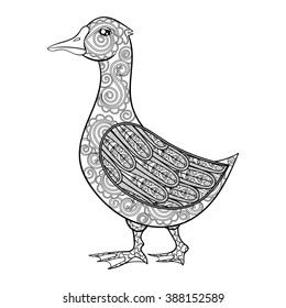 Vector zentangle magic goose, black print for adult anti stress coloring page. Hand drawn artistically ethnic ornamental patterned illustration. Domestic bird collection.