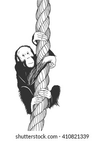 Vector zoo illustration. Little baboon monkey swinging on a rope