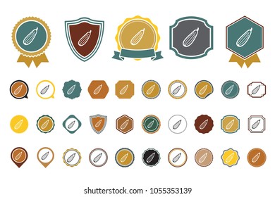 vector Zucchini icon
