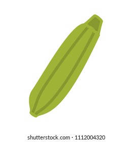 vector Zucchini vegetable illustration? vegetarian diet