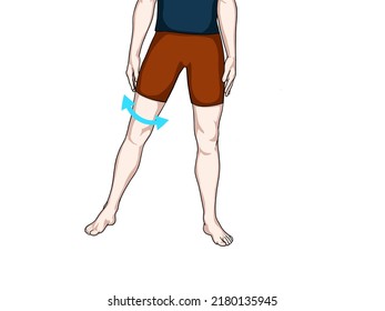 Vectoral exercise illustration for hip pain (hip joint). Exercise 18