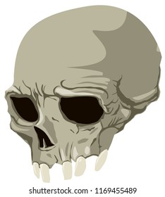 vectoral skull character