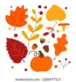 Vector.Autumn Elements Set.Leaves.Pumpkin.Acorns.Mushrooms.Berries.Twigs.In Bright Colors.Doodle Style.Cartoon Drawing.Print for Textile. Web Design.. Social Networks. Blanks. Packing.Paper.EPS 10.