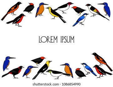 Vectorcar with set of hand drawn bright tropical birds. Beautiful animal design element, ink drawing