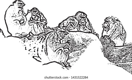 Vector-cute chimpanzees eating on a rock graphic black and white line drawing illustration cartoon outline