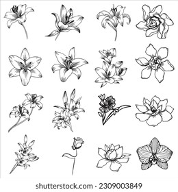 Vector-drawn flowers. Silhouettes of natural elements for seasonal backgrounds, templates, wallpaper, and cards.