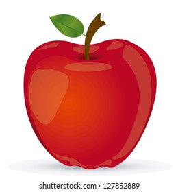 Vectored illustration of red apple, apple realistic vector illustration