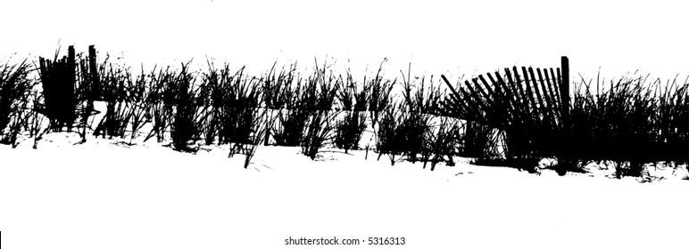 Vectored image of sea oats at beach