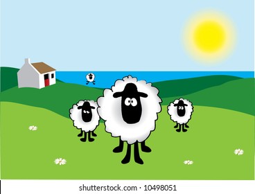 Vectored Sheep