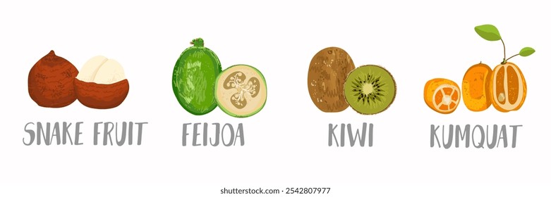 Vectorfruits icons set in hand drawn style. Collection farm product for restaurant menu, market label.