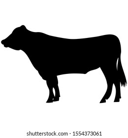 vector-graphic illustration of a cow, isolated on white background