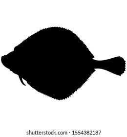 Vector-graphic Illustration Of A Fish, European Plaice, Isolated On White Background