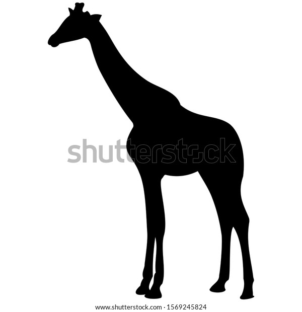 Vectorgraphic Illustration Giraffe Profile View Isolated Stock Vector ...