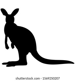 vector-graphic illustration of a kangaroo in profile view, isolated on white background