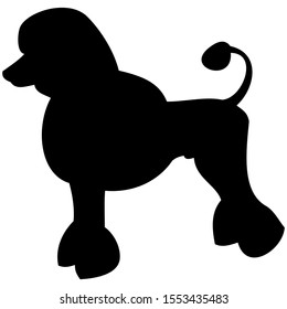 vector-graphic illustration of a poodle, isolated on white background